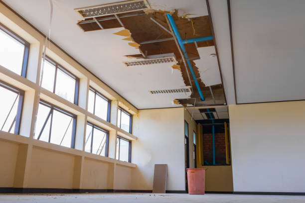 Best Carpet water damage restoration  in Rosenberg, TX