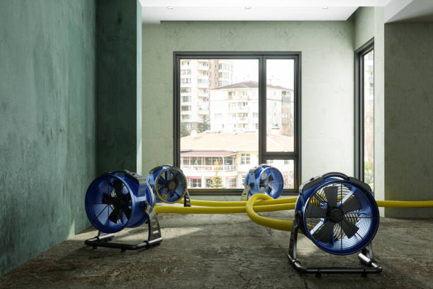 Best Flood restoration services  in Rosenberg, TX
